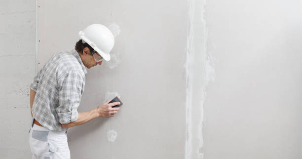 Best Emergency Mold Remediation  in North Shore, CA