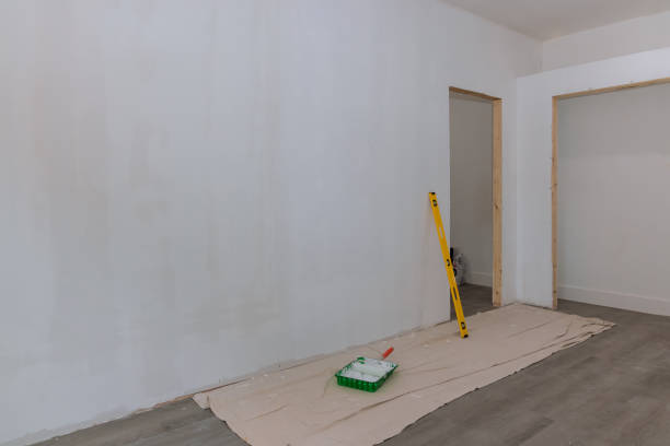  North Shore, CA Mold Removal Pros