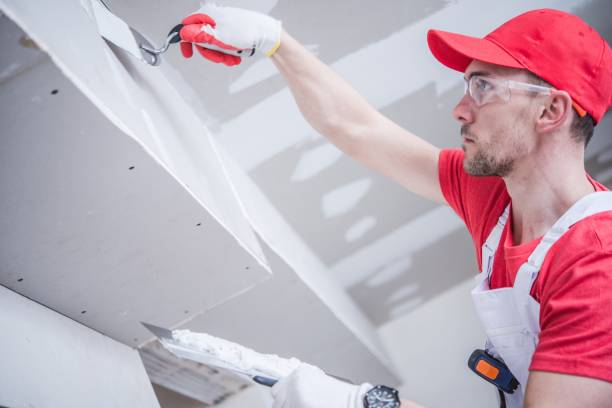 Environmental Consulting for Mold Prevention in North Shore, CA