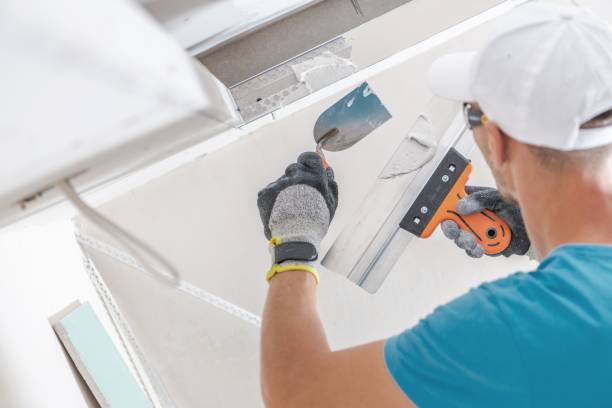 Best Biohazard Mold Removal  in North Shore, CA